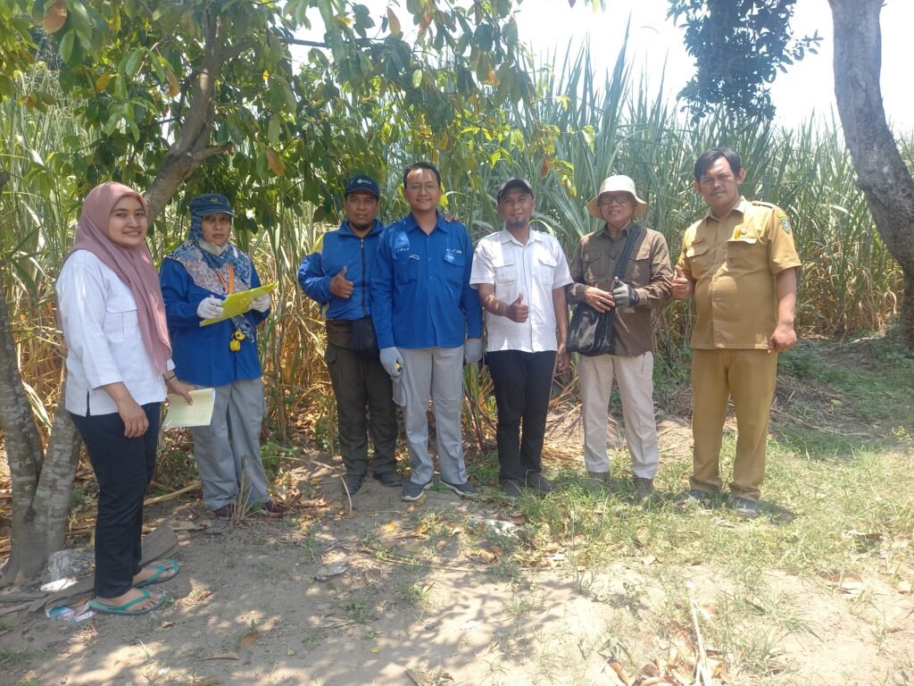Kemitraan Dinas Pertanian Jombang dengan BBPPTP Surabaya: Penyediaan Benih Tebu Berkualitas dan Bersertifikat.