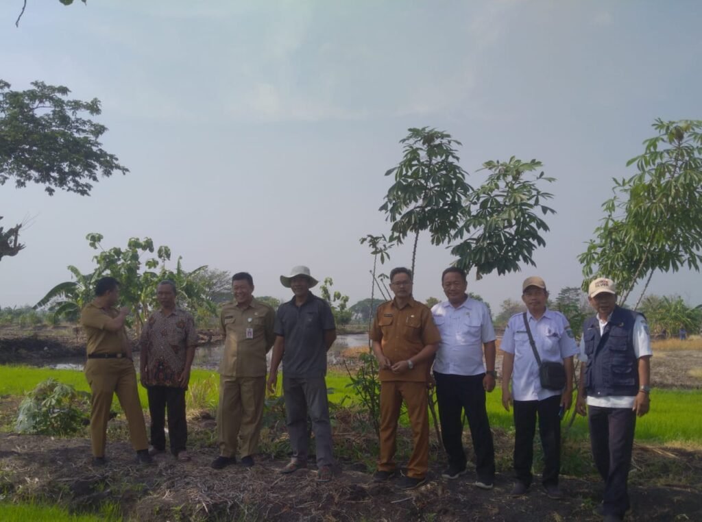 Gapoktan Jombatan Tingkatkan Produktivitas Pertanian dan Ketahanan Pangan Melalui Penambahan Areal Tanam (PAT)