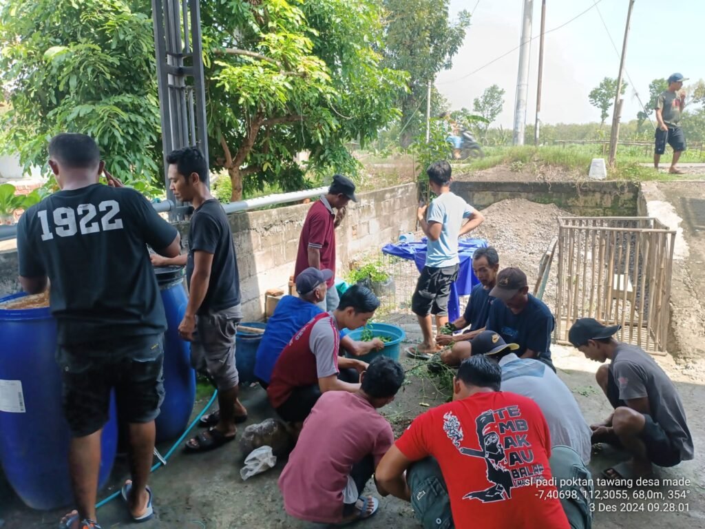 Belajar di Sekolah Lapang: Poktan Tawang Hadirkan Solusi Ramah Lingkungan dengan Pestisida Nabati