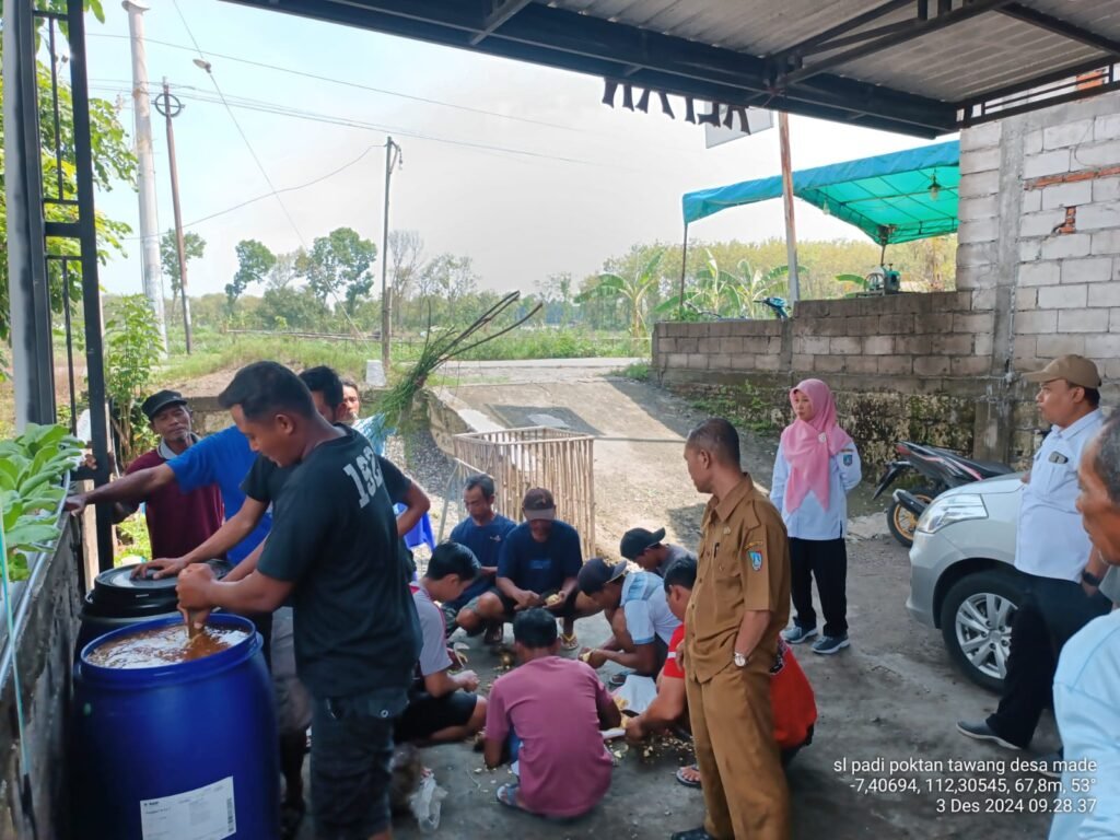 Belajar di Sekolah Lapang: Poktan Tawang Hadirkan Solusi Ramah Lingkungan dengan Pestisida Nabati