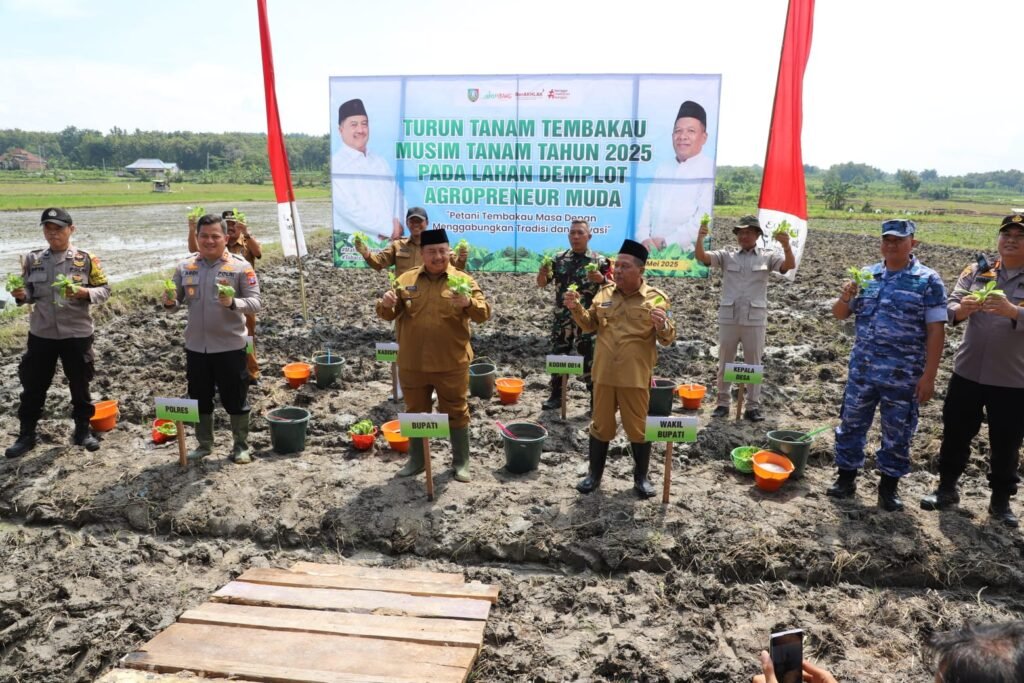 Pemkab Jombang Dorong Produktivitas Tembakau dan Percepatan Pembangunan Melalui Program Terpadu. /jombangkab.go.id