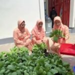 SMKN 1 Semen Kembangkan Mina Padi, Program PANGAN ke-2 Dorong Ketahanan Pangan dan Edukasi Vokasi