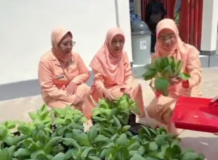 SMKN 1 Semen Kembangkan Mina Padi, Program PANGAN ke-2 Dorong Ketahanan Pangan dan Edukasi Vokasi