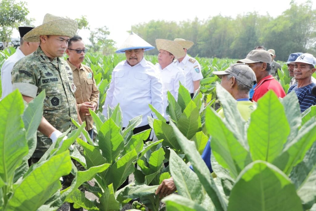 Tembakau Jombang Putar Ekonomi Rp487 Miliar, Pemkab Salurkan Bantuan untuk Petani