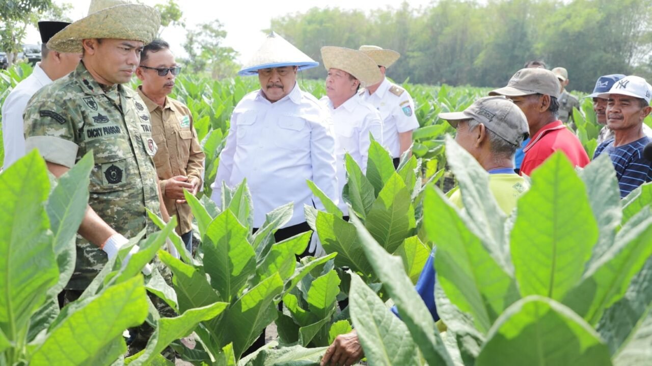 Tembakau Jombang Putar Ekonomi Rp487 Miliar, Pemkab Salurkan Bantuan untuk Petani